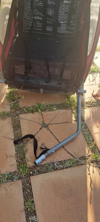 Carrito para bicicleta infantil