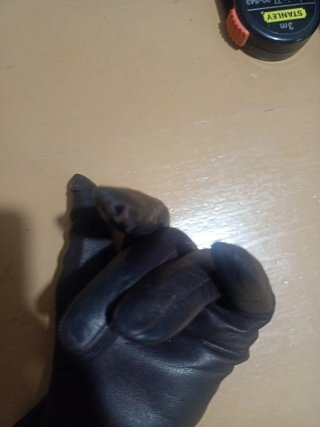 Guantes de piel mujer marrón oscuro. Guants dona