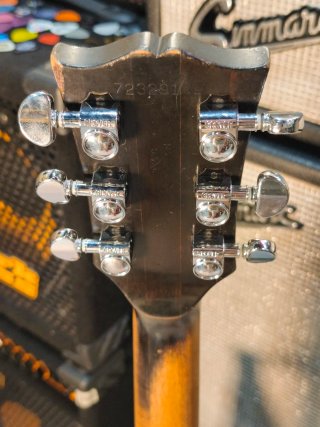 Gibson ES-335 1979 Walnut