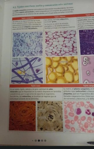 Biología y Geología 3º ESO. Libro del estudiant...