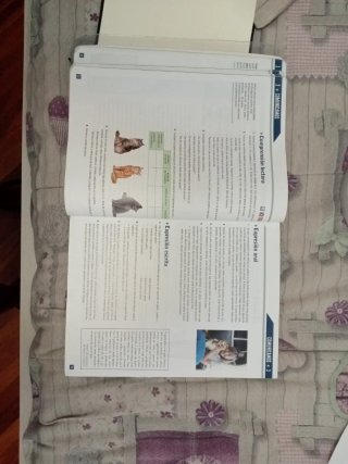 Lingua e literatura 3.