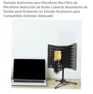 Pantalla Antiviento para Micrófono