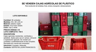 Cajas Agrícolas Plástico Rígido (96 uds)