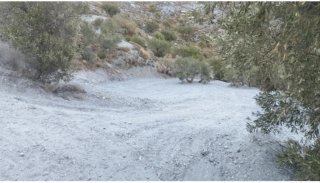 Finca rústica Félix 4500m² y caravana