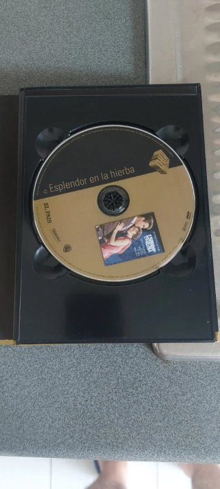 DVD Esplendor en la Hierba