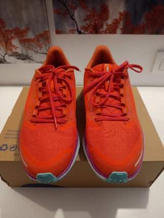 Nike Pegasus 41 GTX Mujer Talla 40