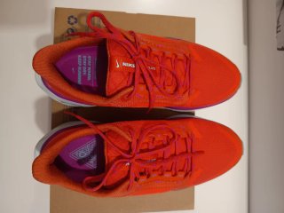 Nike Pegasus 41 GTX Mujer Talla 40