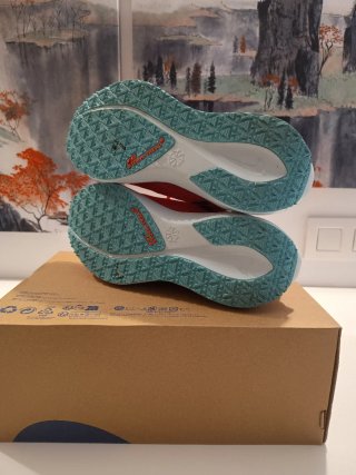 Nike Pegasus 41 GTX Mujer Talla 40