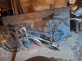 Bicicleta BH Gacela
