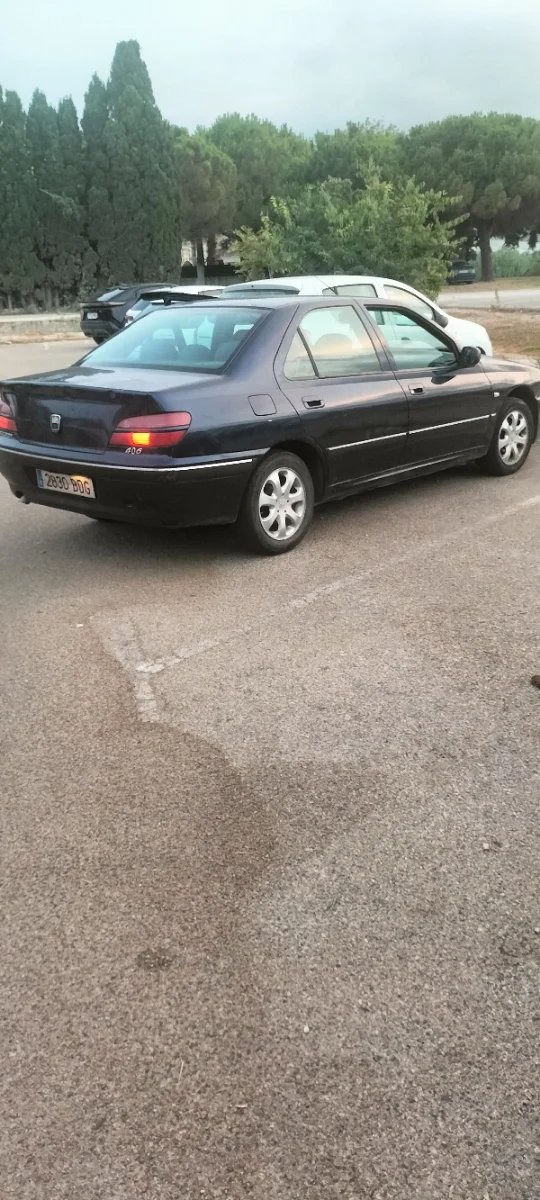 Peugeot 406 2001 - foto 1