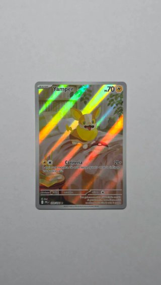 Lotto Carte Pokemon.