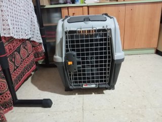 transportín para perros apolo plus 4
