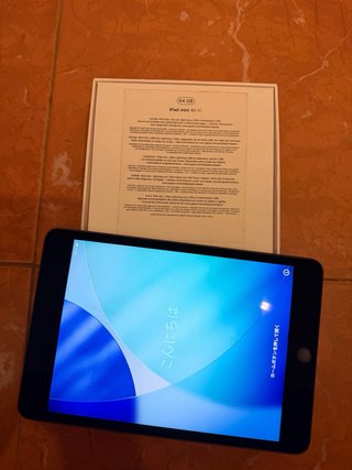 iPad mini 5ª Generacion Space Gray