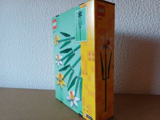 LEGO 40747 Botanical Collection Daffodils