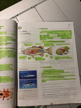 Biología y Geología 1 ESO
