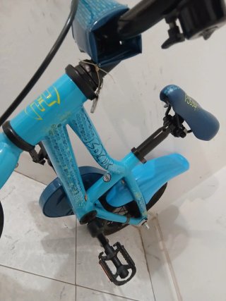 Bicicleta Infantil Focus Rookie 12