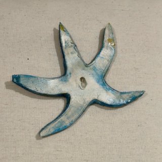 Estrella de mar decorativa
