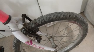Bicicleta Orbea Rocker 20 Rosa