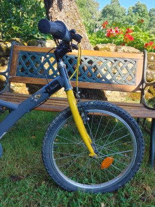 Bicicleta Infantil Btwin Racing Boy 20