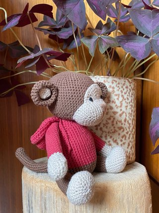 Amigurumi mono con capucha