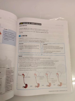 Biología y Geología : 1 Secundaria Aragón