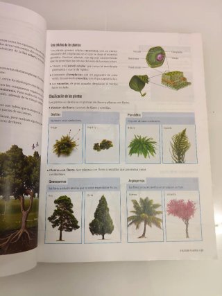 Biología y Geología : 1 Secundaria Aragón