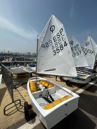 Optimist DevotiKdk - Agosto 2024