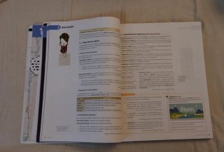Lengua castellana y literatura 1 Bachillerato A...