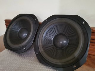 Altavoces Reprocircuit WT-10 Bajos