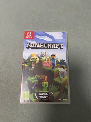Minecraft Nintendo Switch