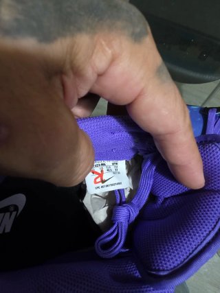 Zapatillas Nike Dunk Azules y Moradas