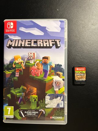 Minecraft Nintendo Switch