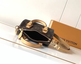 Borsa Louis Vuitton Speedy Nano