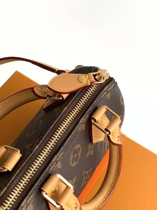 Borsa Louis Vuitton Speedy Nano