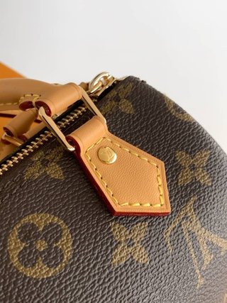 Borsa Louis Vuitton Speedy Nano