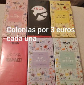 Lote 6 Colonias Prady