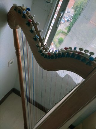 Arpa Paraguaya