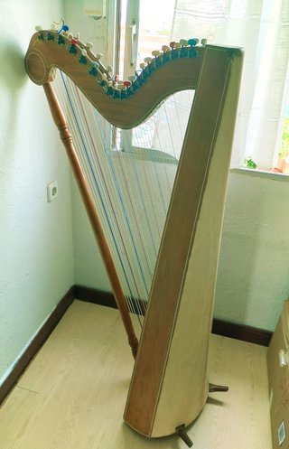 Arpa Paraguaya