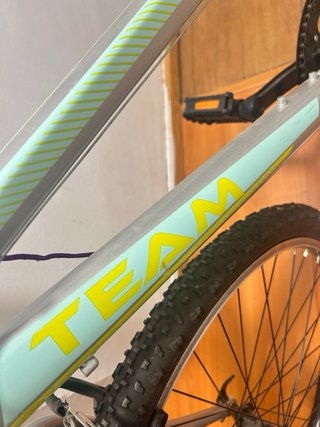Bicicleta TEAM para repartidores/niños