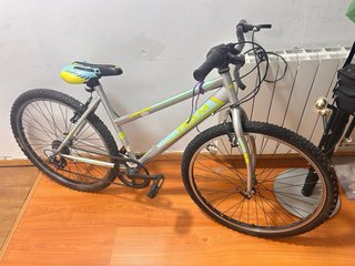 Bicicleta TEAM para repartidores/niños