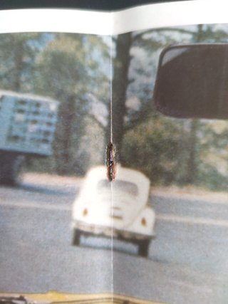 VW Brasilia (Typ 321) Catálogo, Volkswagen, 1974