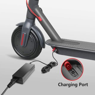 Cargador para Patinete Xiaomi, Youin,,Ninebot,42v