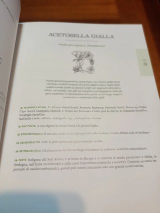 Atlante gastronomico delle erbe