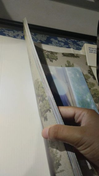 Pin Up book