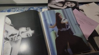 Pin Up book