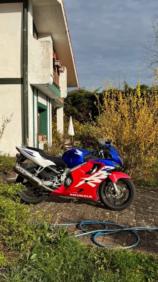 Honda CBR 600 F4 Carburada