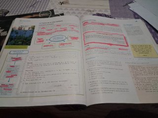 Lengua y Literatura, 2 ESO, Operación mundo