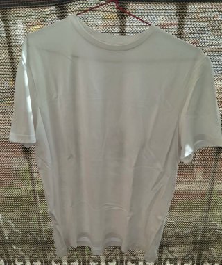 Lote 10 Camisetas Hombre Talla L