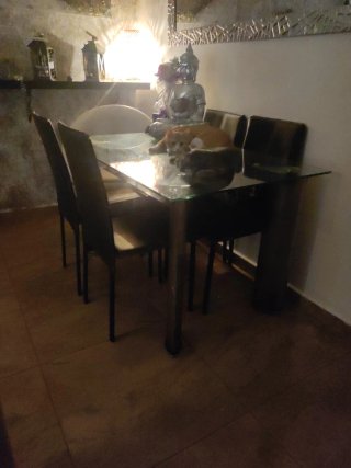 Mesa, sillas y sillón