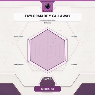 Set de Palos de Golf TAYLORMADE y CALLAWAY